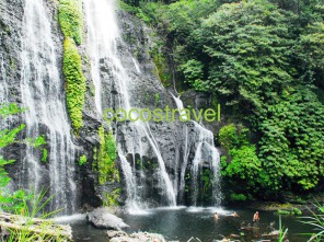 Regenwald Trekking Cocostravel Tagestouren Bali aktivurlaub